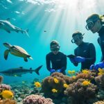 découvrez comment le tourisme régénératif contribue à la restauration des écosystèmes marins locaux fragilisés, en favorisant un tourisme respectueux et durable.